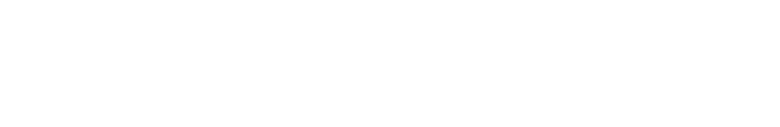 Правительство