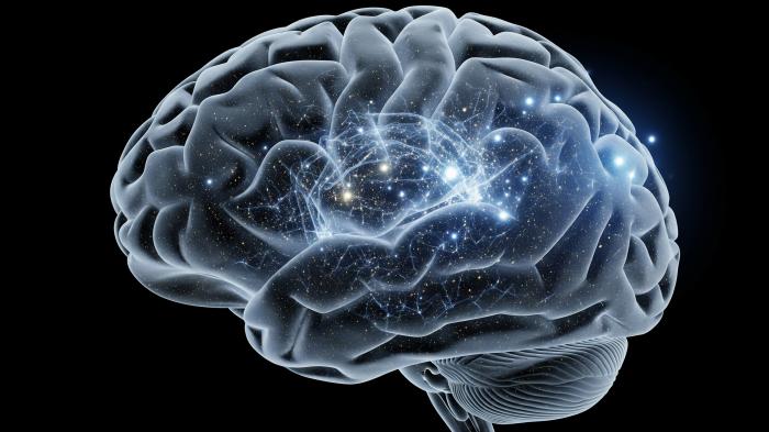 Мозг с искоркой посередине.