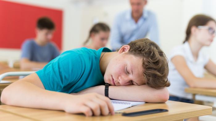 Ученик спит на уроке — этого, вероятно, не произошло бы, если бы занятия начались позже.