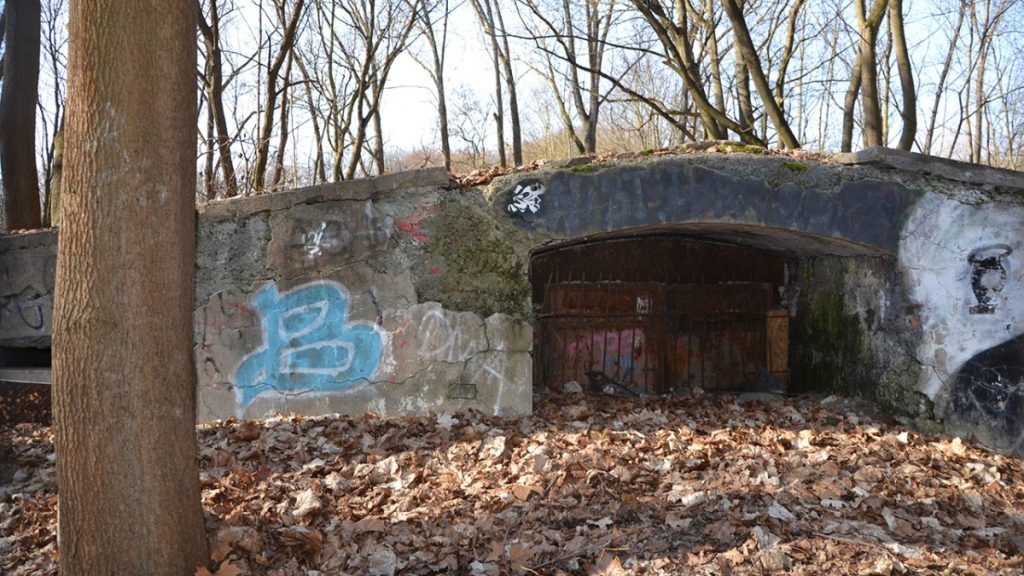 Шёнхольцер Хайде: место встречи природы и истории