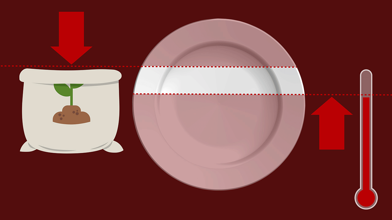 От полупустого мешка из-под удобрений и термометра обрезаются линии тарелки.