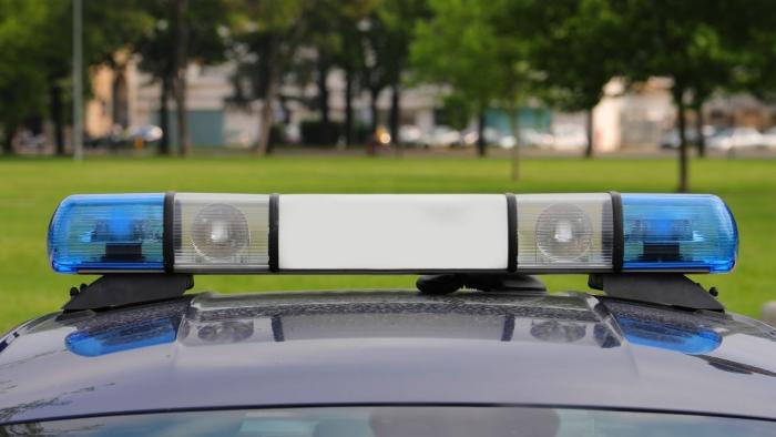 Синие огни полицейской машины крупным планом. Фоновые деревья в парке.