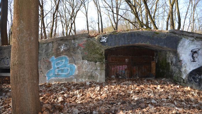 Листовая земля и бункеры