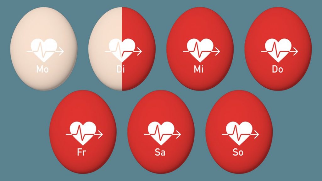 Яйцо снова стало суперпродуктом – но кто все еще будет его производить?