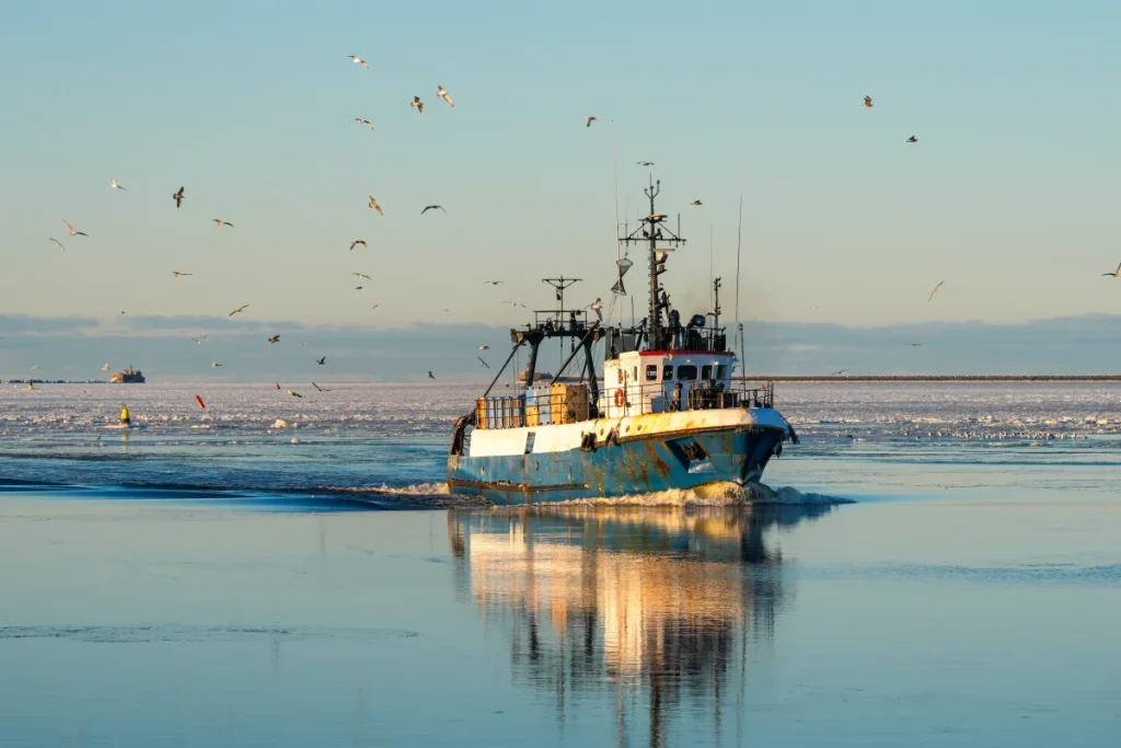 Сине-зеленые водоросли в Балтийском море: проблема начинается на полях